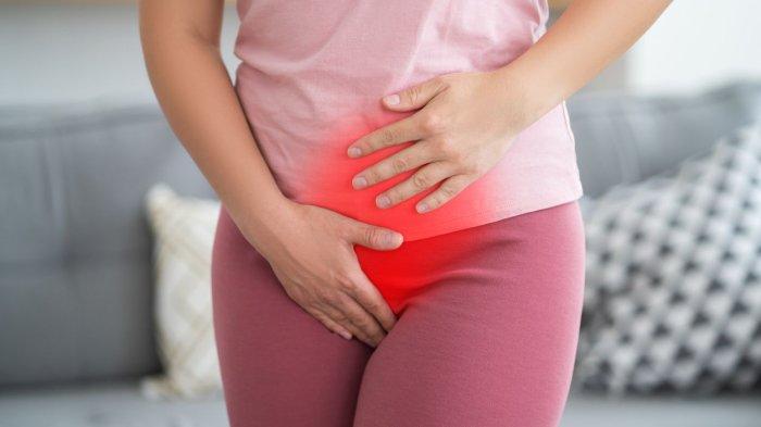 Pengertian Siklus Menstruasi yang Terjadi pada Wanita